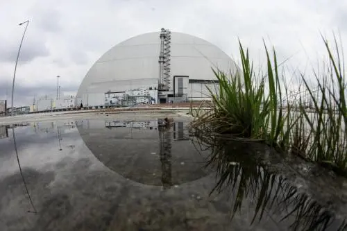 "Il loro Dna si è adattato". Il mistero dei cani nel vuoto atomico di Chernobyl