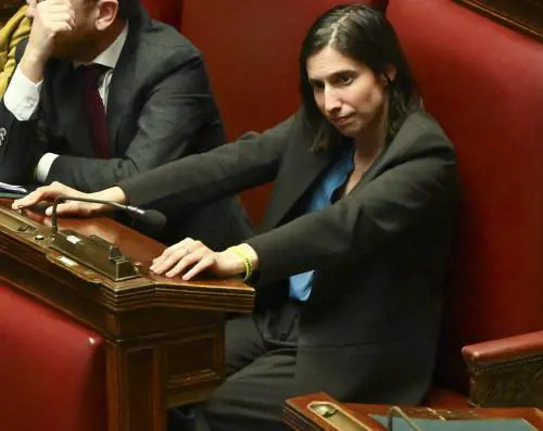 Il "nuovo" Pd con gli ex Pci alla corte di Elly Schlein