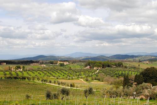 San Donato in Poggio: curiosità e cosa vedere