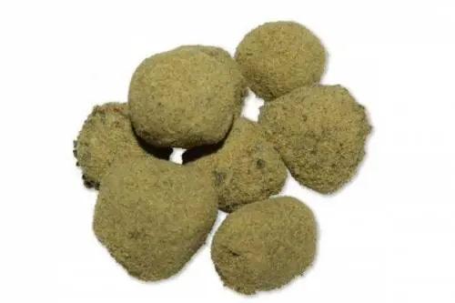 È allarme "Kurupt Moonrock": ecco la marijuana più potente al mondo