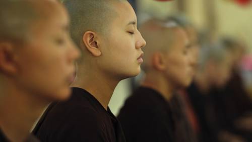 Spade e preghiere: ecco le "armi" delle monache buddiste del Kung Fu   