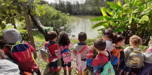Sala, il sindaco ecologista che "taglia" la Scuola natura