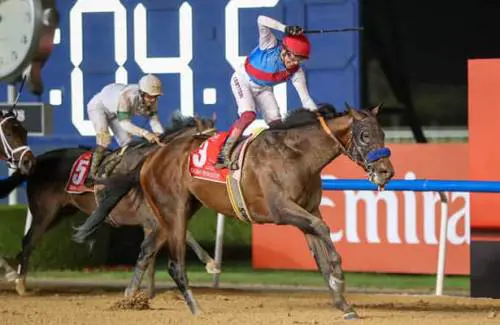 Country Grammer. Dubay World Cup 2022 (foto Hanley/Eclipse sportswire)