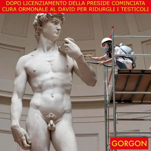 La satira del giorno. Iniziata cura ormonale