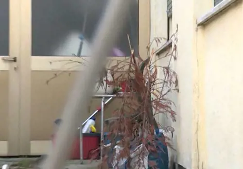 da servizio di Mattino Cinque