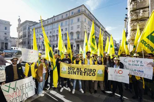 Coldiretti con Lollobrigida sullo stop al cibo sintetico