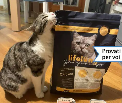 Cibo per gatti, umido e secco, provato per voi