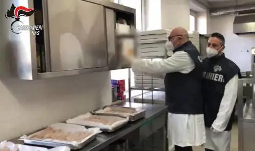 Escrementi e blatte nelle cucine ospedaliere