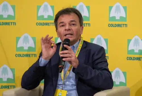 Fassina difende Rampelli: "Giusta tutela dell'italiano"