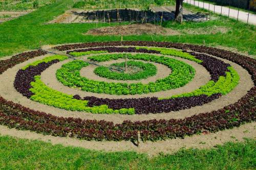 I giardini che curano: scopriamo cos'è un'oasi terapeutica