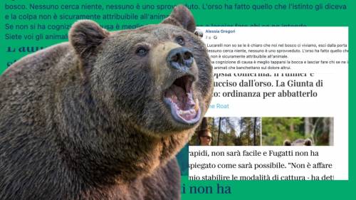 Abbattere l’orso assassino è legittima difesa