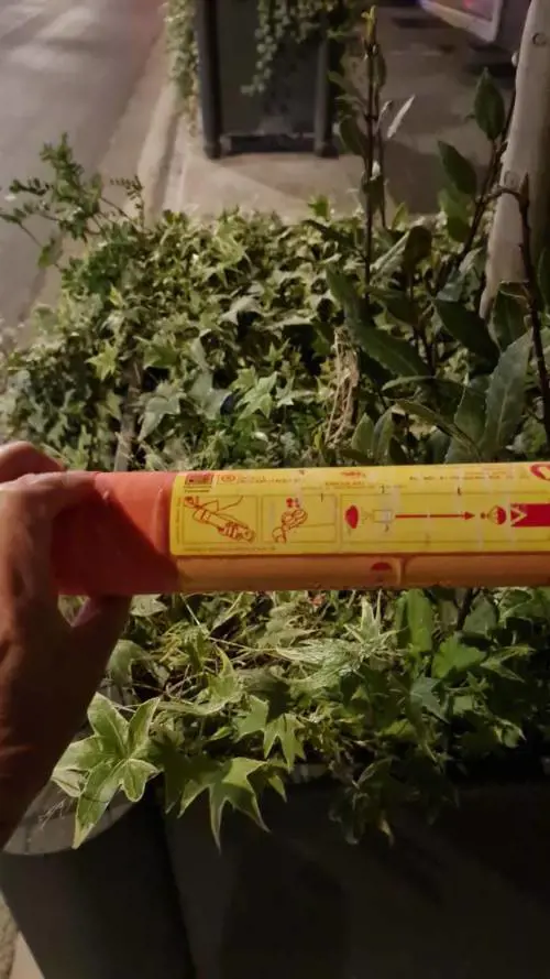 Uno dei razzi di segnalazione sparato dai giovani