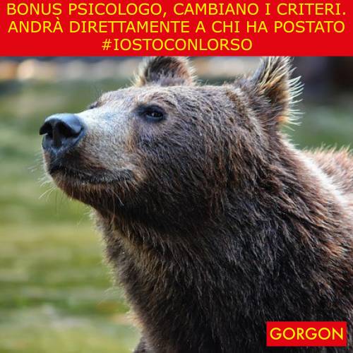 La satira del giorno. I nuovi criteri Bonus Psicologo