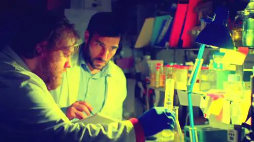 Smetto quando voglio, il segreto dietro al successo del film con Edoardo Leo