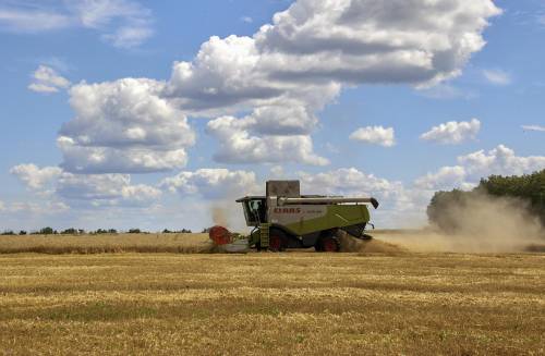 Il grano ucraino passerà dalla Croazia: cosa dice il nuovo accordo (senza la Russia)