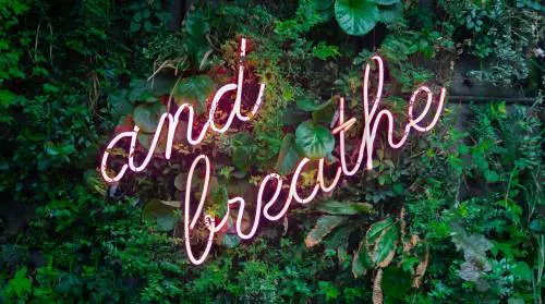 Design Week 2023, gli eventi più green