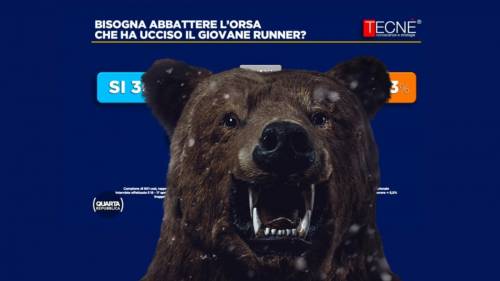 L’orso Jj4 va abbattuto? Il sondaggio a sorpresa