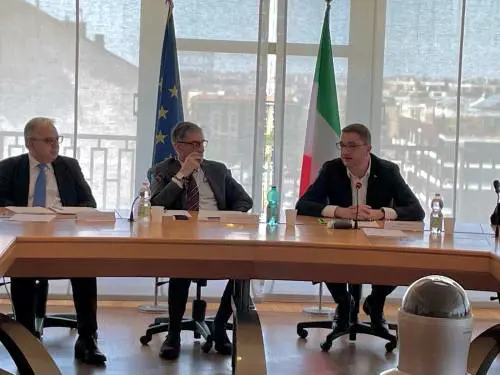 "Trasferimento e bear-spray". Intervista al sottosegretario Barbaro sull'emergenza orsi