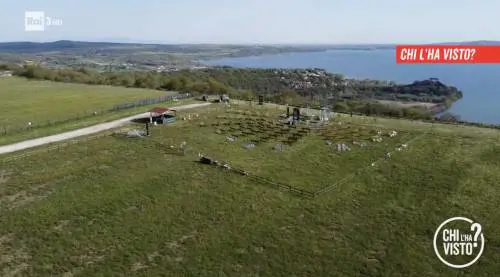 Screen "Chi l'ha visto?"