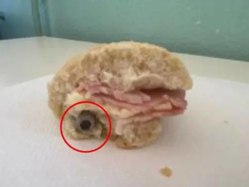 Milano, solo 750 euro di multa per il panino con il bullone a scuola. Scoppia la polemica