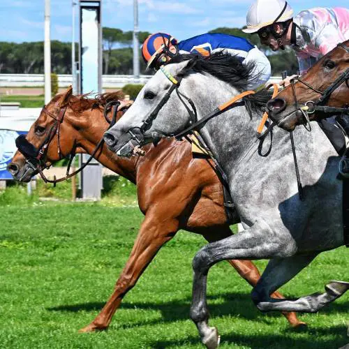 Primo maggio a Capannelle, Premio Parioli e Regina Elena. Sean domina la prima corsa di gruppo in Italia