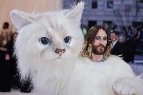 Perché Jared Leto (e non solo) si è vestito da gatto al Met Gala 2023