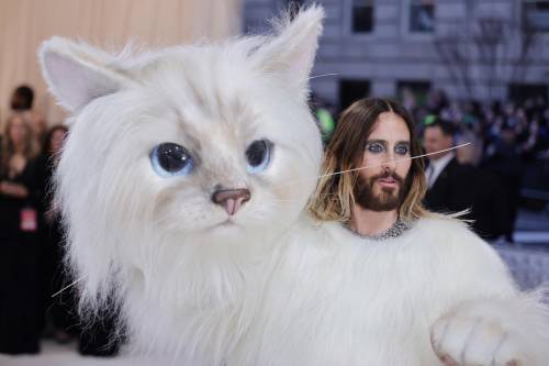 L'omaggio "felino" a Karl Lagerfeld di Jared Ledo (e gli altri)