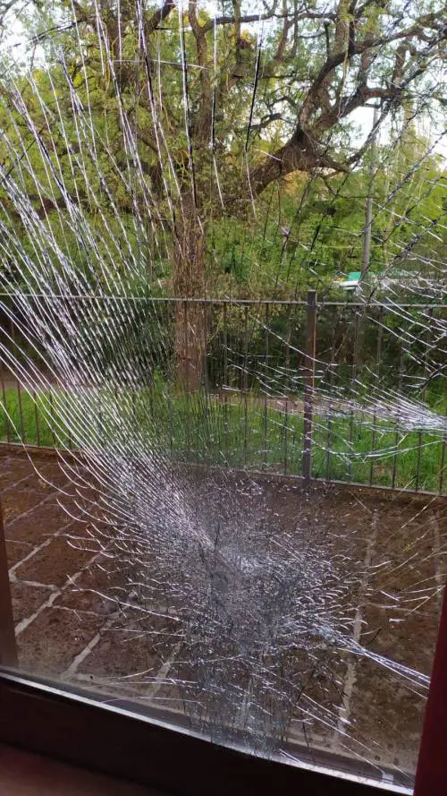 La vetrata della Casa delle Culture intitolata a Fabrizio Frizzi, vandalizzata