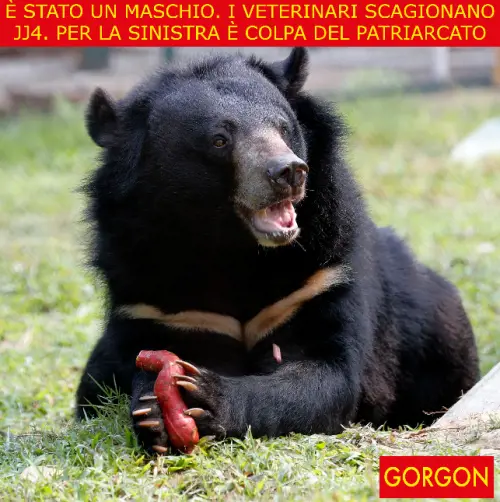 La satira del giorno. Non è stata Jj4