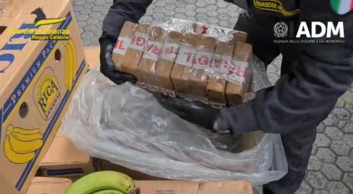 Cocaina nascosta tra le banane  al porto di Gioia Tauro