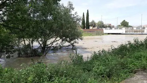 Crolla la ciclabile e bimbo finisce nel fiume: salvato con il guinzaglio di un cane