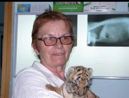 Monopoli, l'ambulanza non è disponibile: Erika muore a 100 metri dall'ospedale