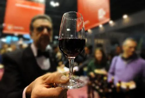 "Dannose e inutili per combattere gli eccessi". L'allarme di Federvini sulle etichette al vino