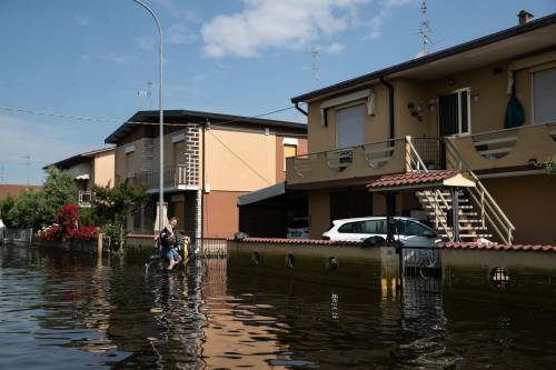 "Invasione di zanzare e virus": nuovo incubo per l'Emilia-Romagna alluvionata