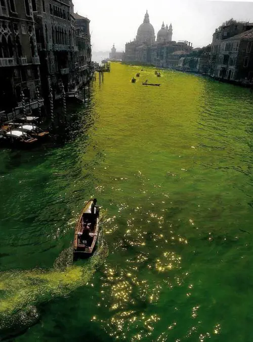 Alla Biennale la performance ambientalista di Uriburu