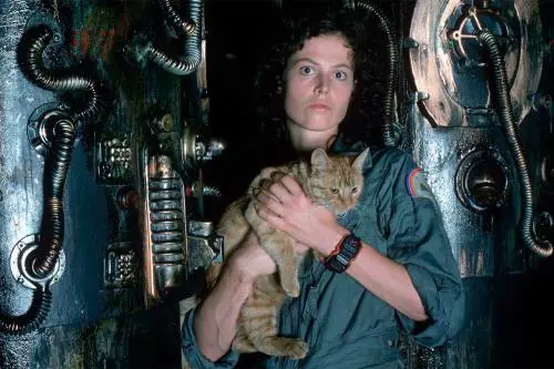 Il mito di Alien torna al cinema: l’horror che è diventato un cult