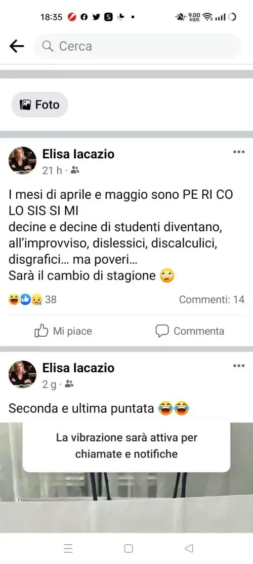 "All'improvviso tutti dislessici..". Il post della preside di Rho scatena una bufera