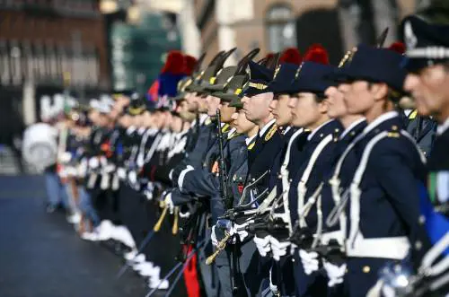 Il Bestiario, il Pacifigno