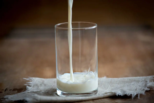 Oggi è la Giornata mondiale del latte, uno dei settori trainanti dell’agroalimentare italiano