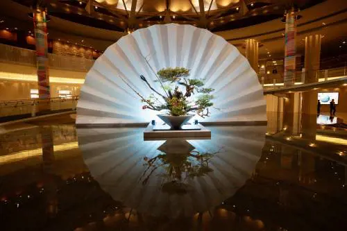 Navi, farfalle e tecnologia. La scoperta del Giappone