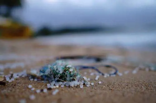 Allerta per le microplastiche disperse in mare: sono colonie di batteri