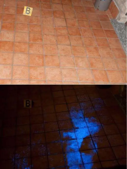 I rilievi con il luminol nell'appartamento di Senago