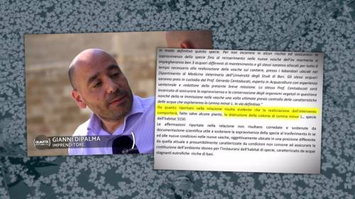 Diktat green: vietato costruire per “salvare la lenticchia di mare”