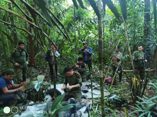 "Vivi dopo 40 giorni nella giungla": il "miracolo" dei bimbi scampati all'incidente
