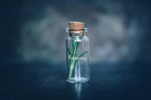 Acqua al rosmarino, rimedio naturale per capelli più lunghi