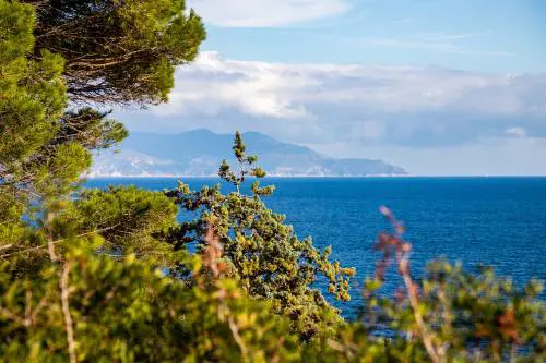 Isola del Giglio: le spiagge più belle e cosa vedere