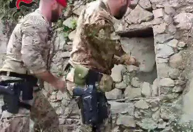 Scoperto bunker sotterraneo dove si coltivava marijuana
