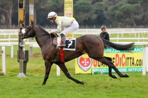 Goldenas (sanrossore.it)