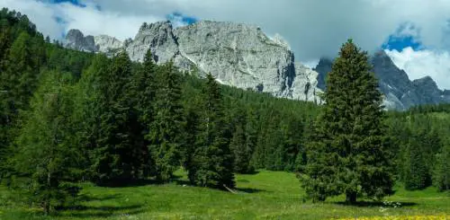 Alto Adige, viaggio tra vini e architettura