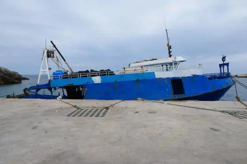 "Sgarbo istituzionale". La commissione Libe "dimentica" il sindaco di Lampedusa